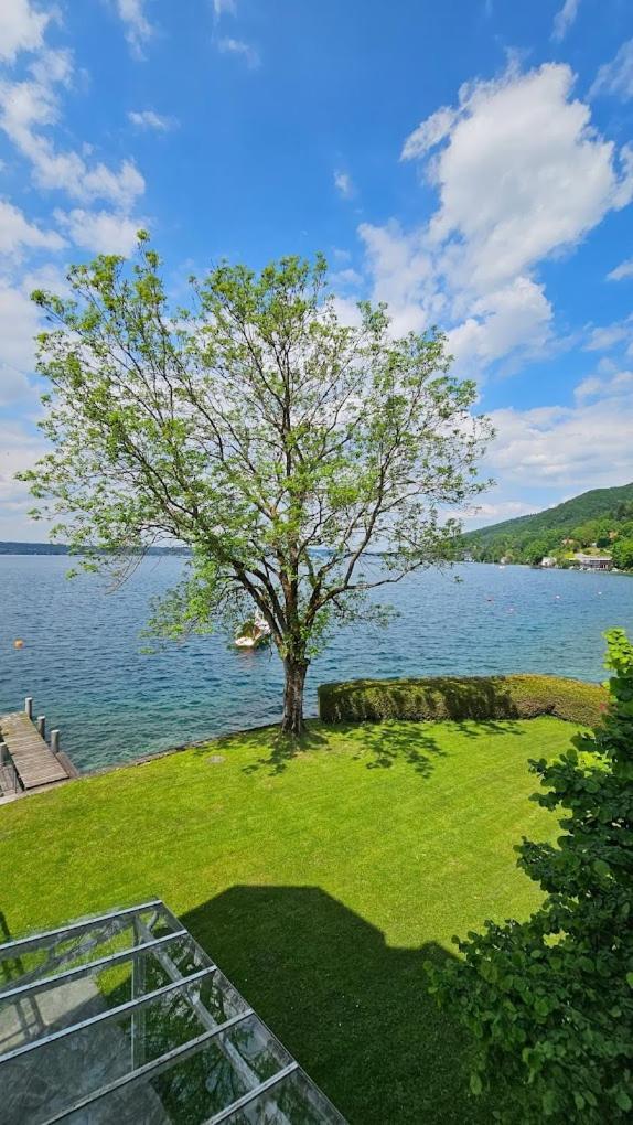 Gasthof Mit Seeterasse & Appartements Zur Landeroith Weyregg Eksteriør billede